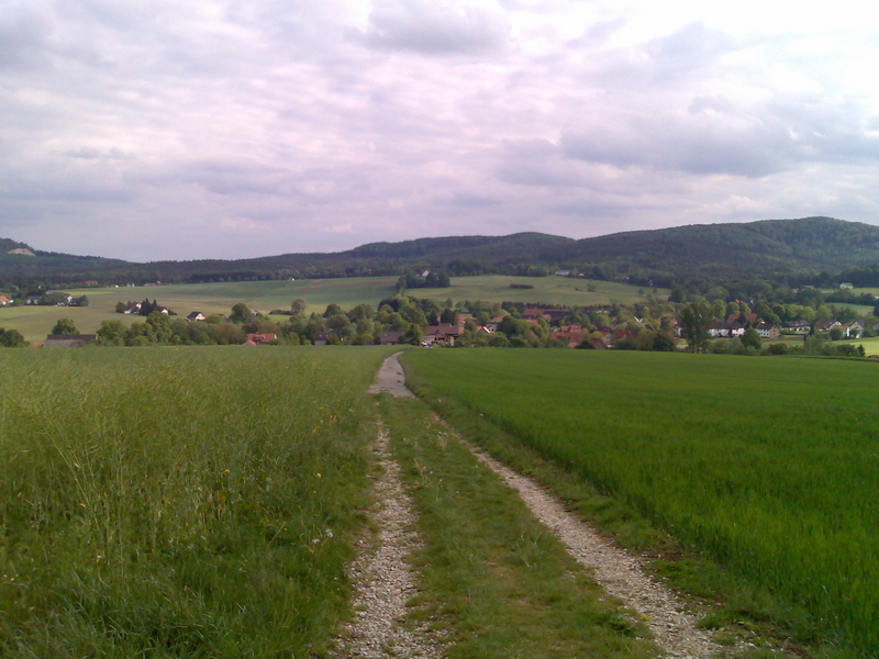 Blick von Hörster Egge (klein)